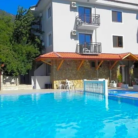 Star فندق